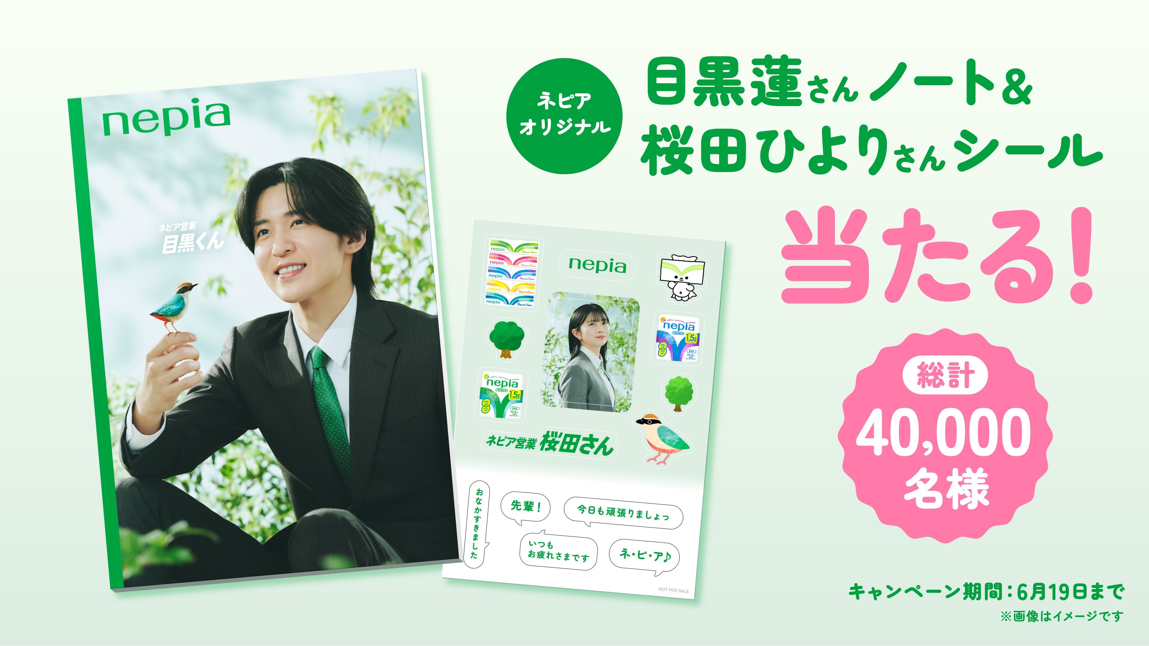 TVCM第三弾「ネピア営業目黒くん 森を育てる篇」全国でOA開始！ネピア